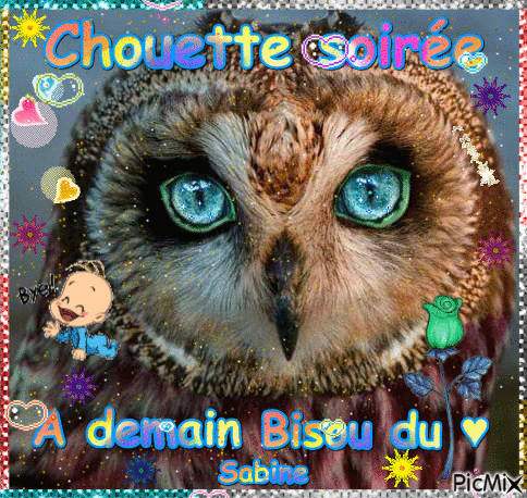 Chouette soirée - 無料のアニメーション GIF