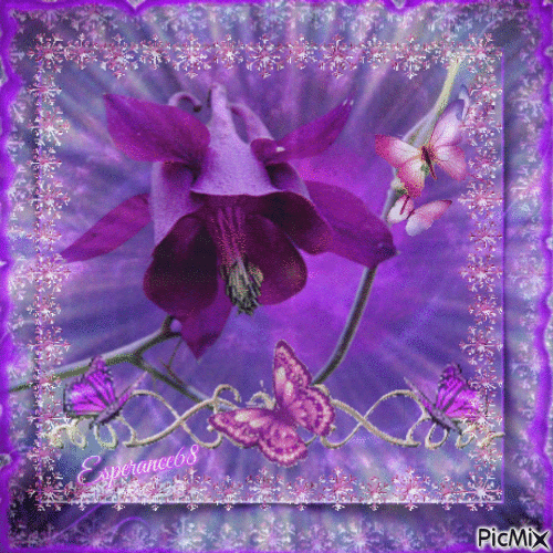 🦋 La fleur et les papillons 🦋 - Δωρεάν κινούμενο GIF