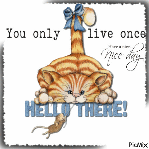 Hello there ! You only live once. Have a nice day - Безплатен анимиран GIF
