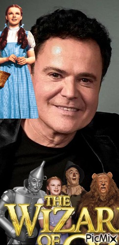 donny  osmond - Free PNG