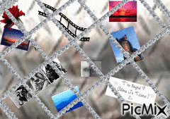 photos sur un casier - Zdarma animovaný GIF
