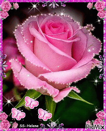 Pink-rose. - Besplatni animirani GIF