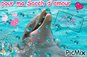 Pour ma Sarah d'amour  .. - Bezmaksas animēts GIF