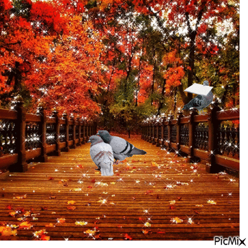 Autumn - Bezmaksas animēts GIF