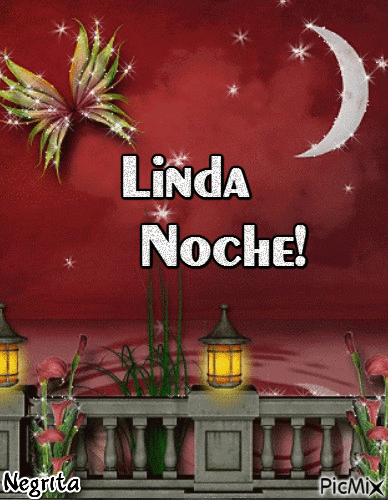 Linda Noche! - Free animated GIF