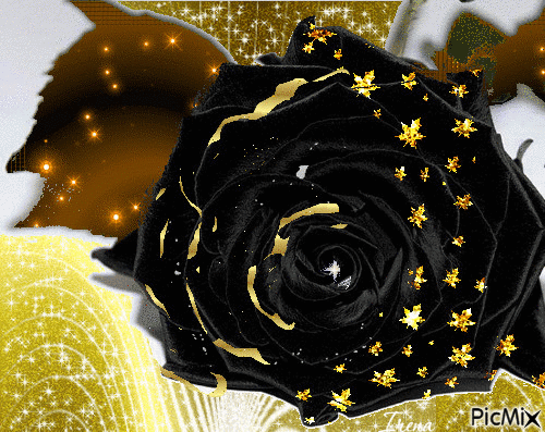 Black Rose - Безплатен анимиран GIF