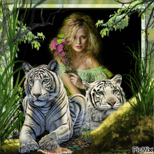 Samira et ses tigres. - Free animated GIF