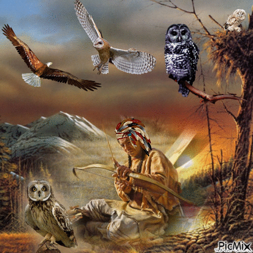 OWL NATIVE LAND - Animovaný GIF zadarmo