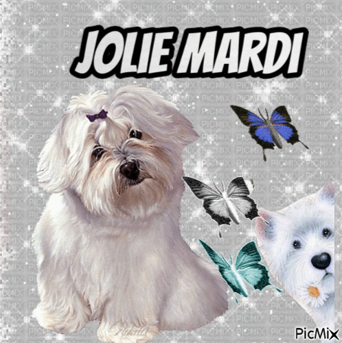 Jolie - Bezmaksas animēts GIF