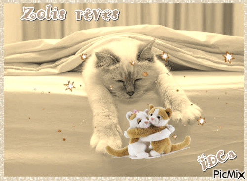 Doux rêves les chatons - Animovaný GIF zadarmo