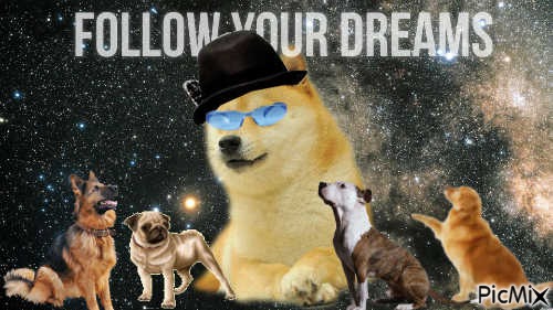Doge - Free PNG