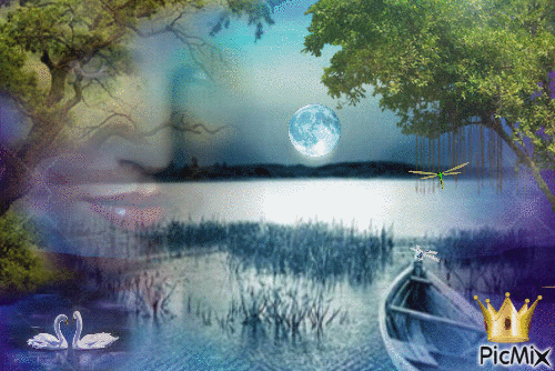 Moonlit Dreams - GIF animasi gratis