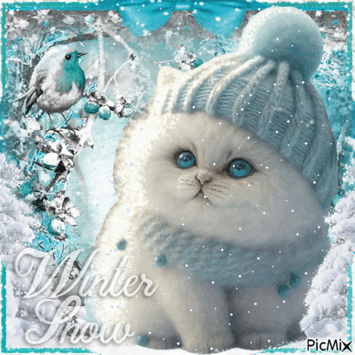 Kätzchen im Winter, mit Mütze und Pullover - Free animated GIF
