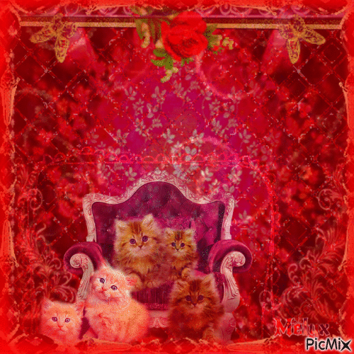 histoires de chats rouges - Gratis animerad GIF