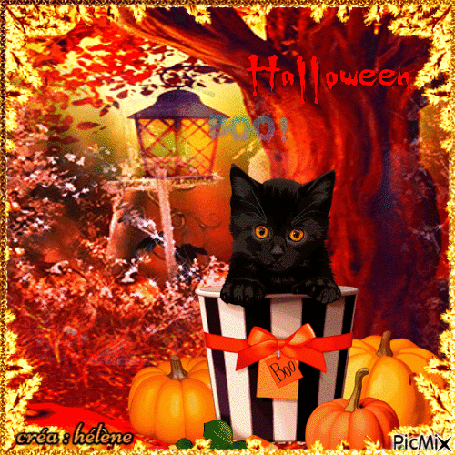 concours : Chat d'Halloween - Free animated GIF