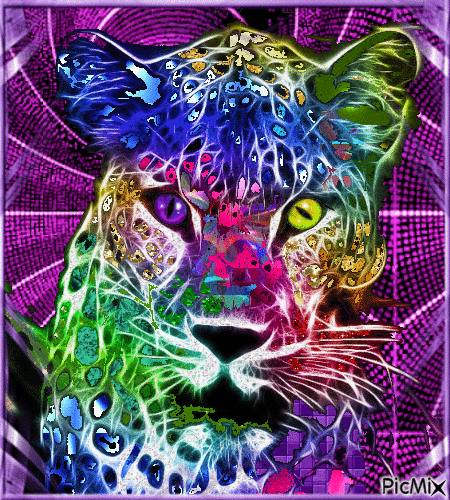 Vibrante Leopardo. - Darmowy animowany GIF