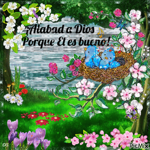 ¡Alabad a Dios! - Free animated GIF