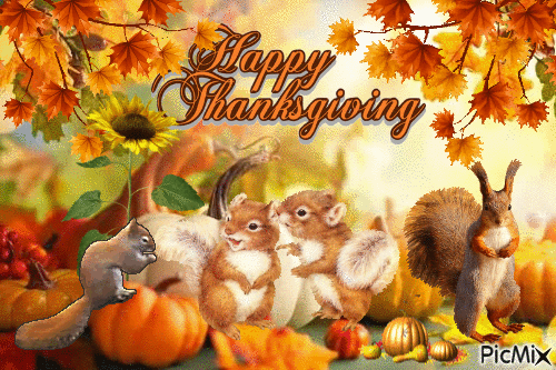 Happy Thanksgiving!🍁🍂🥧🦝🦃🐿🐇 - GIF animasi gratis