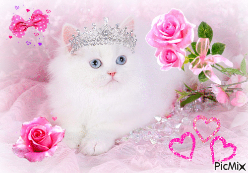 pink cat - GIF animé gratuit