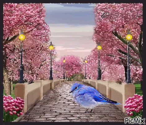 Blue Bird - GIF animé gratuit