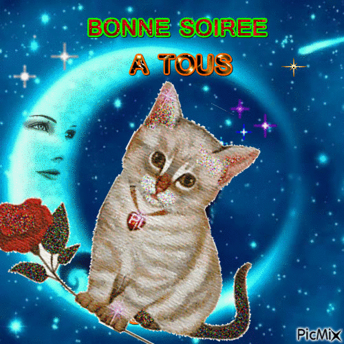 BONNE SOIREE BISOUS - Free animated GIF
