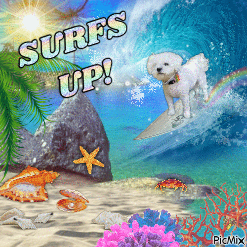 surfs up - Free animated GIF