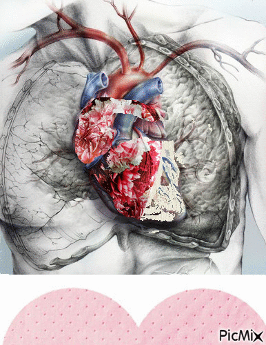 A corazón abierto - Безплатен анимиран GIF