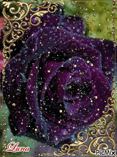 rose ruby - Δωρεάν κινούμενο GIF