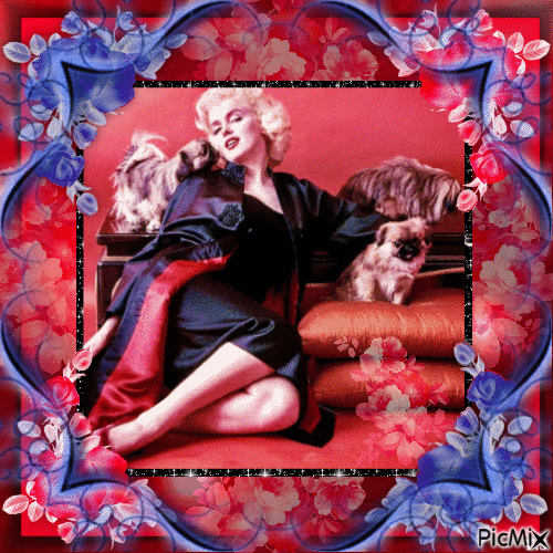 Marilyn Monroe, Actrice américaine - Бесплатный анимированный гифка