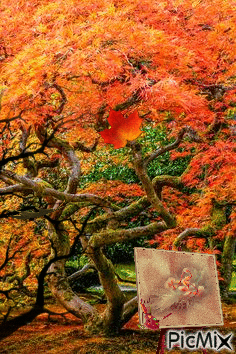 Pintando el otoño - GIF animado gratis