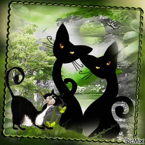 Chatons noirs - Gratis animeret GIF