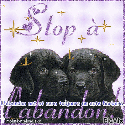 Stop à l'abandon. - Бесплатный анимированный гифка