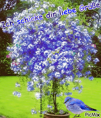 Blauer Baum - GIF animado gratis