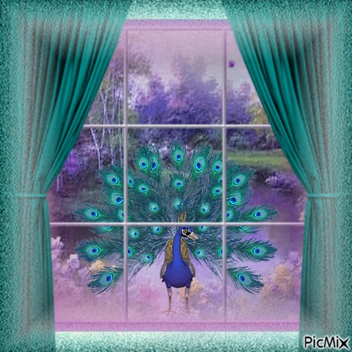 Peacock outside Looing out Window - besplatni png