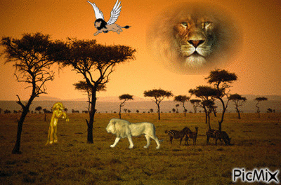les lions - Animovaný GIF zadarmo