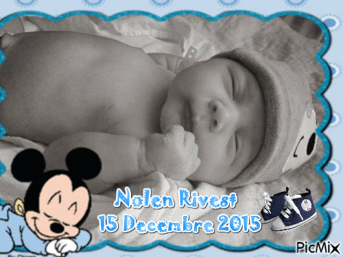 nolen  rivest - Free animated GIF