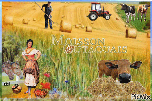 Moisson - Δωρεάν κινούμενο GIF