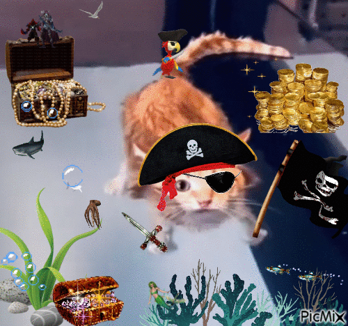 sea gato - 無料のアニメーション GIF