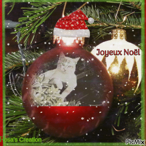 Chat père Noël - Nemokamas animacinis gif