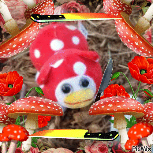 Mushroom peepy [Shroompy] - GIF เคลื่อนไหวฟรี