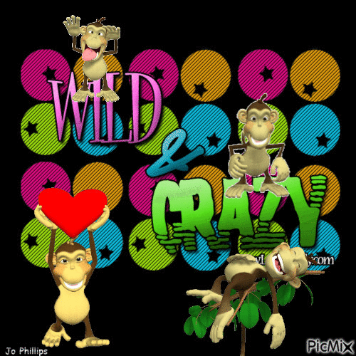 wild - Zdarma animovaný GIF