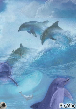 Traviesos delfines - GIF animado gratis