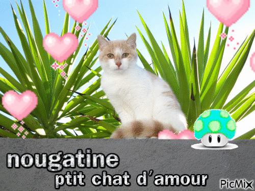 nougatine - Bezmaksas animēts GIF