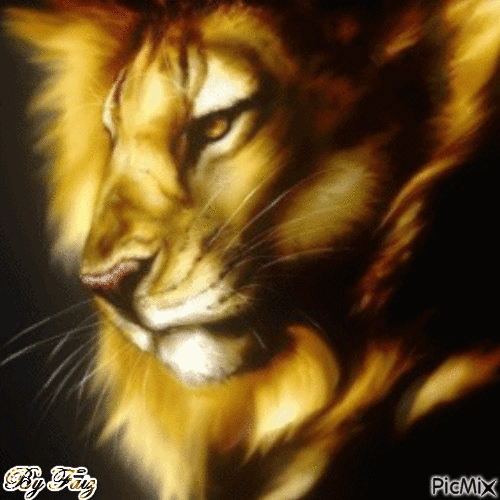 lion - GIF animado gratis
