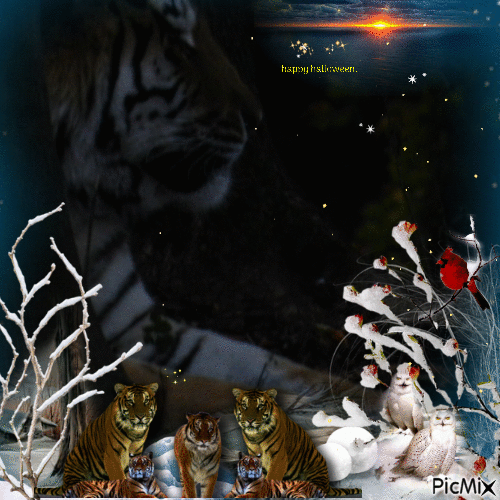 tigres magnifique - Free animated GIF