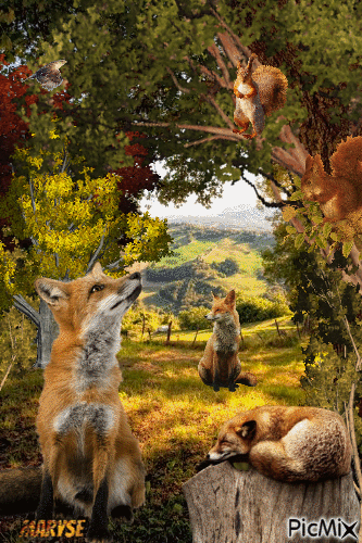 automne fox - GIF animé gratuit