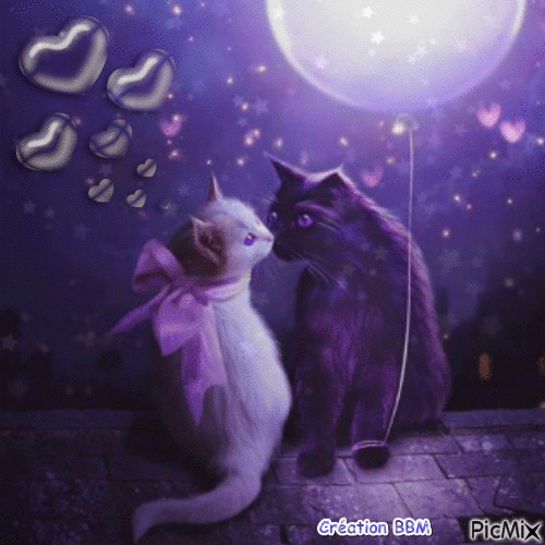 Amour de chats par BBM - GIF animé gratuit