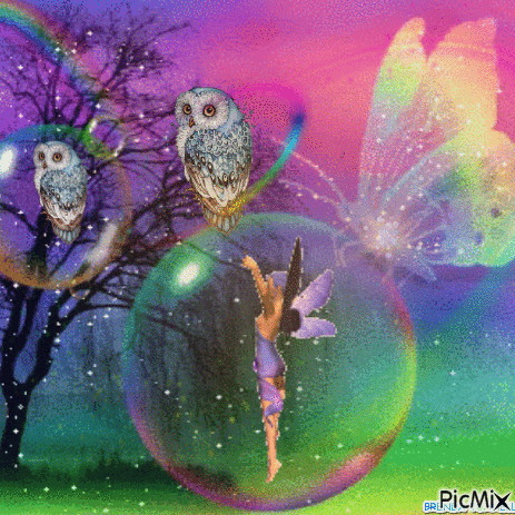 FAIRY FANTASY OWLS - Безплатен анимиран GIF
