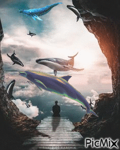 Y mientras, volaban ballenas - Zdarma animovaný GIF