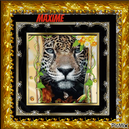le léopard - GIF animado grátis
